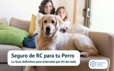 Seguro de RC para tu Perro: La Guía definitiva para enterarte por fin de todo