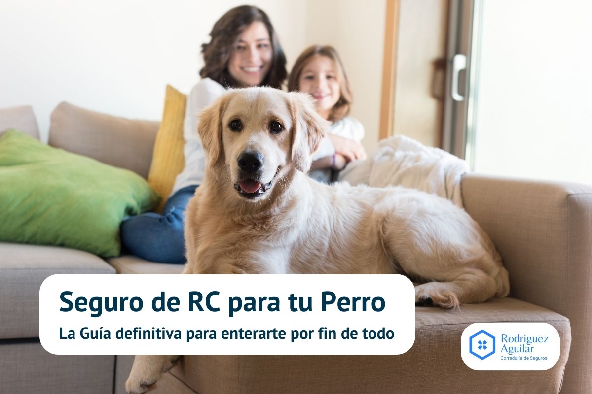 Seguro de RC para tu Perro: La Guía definitiva para enterarte por fin de todo